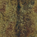 Real Goat Fur Texture - Animal Pattern Royalty Free Stock Photo