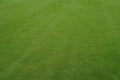 Real golf lawn green texture - grass