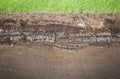 Real Grass and several underground soil layers Royalty Free Stock Photo