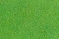 Real green grass background