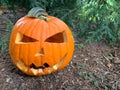 A real halloween pumpkin jack o lantern