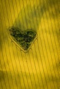 Real heart shaped copse of forest among rape field. Nature love. Valentine symbol.