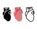 Real human heart in flat style, vector