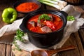 real Hungarian goulash with beef and paprika