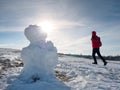 Real icy snowman in winter landscape Royalty Free Stock Photo