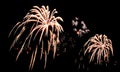 Real Isolated Fireworks, Flowers Pattern