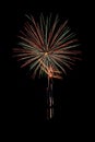 Real Isolated Fireworks, Flowers Pattern