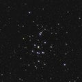 Real large star cluster M44 or NGC 2632 the Beehive Cluster in the constellation Cancer in Northern sky taken with CCD camera and