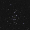 Real large star cluster M44 or NGC 2632 the Beehive Cluster in the constellation Cancer in Northern sky taken with CCD camera and