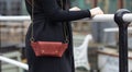 Real leather handbag opened in brown with model