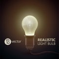 Real Light Bulb Composition