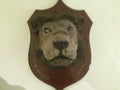 Real lion face in manial palace