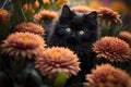 real Little black kitten sitting in flowers, AI generated Royalty Free Stock Photo
