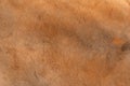 Kangaroo fur texture background Royalty Free Stock Photo