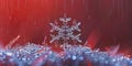 Real macro snowflakes, red background , concept of Ice crystals