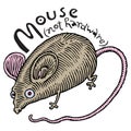 Real mouse (not hardware)