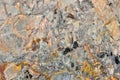 Real natural Dreamtime MARBLE texture pattern