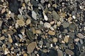 Real natural GRANITE Marinace Black Gold texture patter