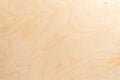 Real natural light birch plywood. High-detailed wood texture