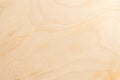 Real natural light birch plywood. High-detailed wood texture Royalty Free Stock Photo