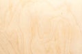 Real natural light birch plywood. High-detailed wood texture Royalty Free Stock Photo