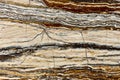 Real natural pattern of marble Travertin Jurassico texture background