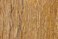 Real natural ` Travertin Walnut ` texture pattern.