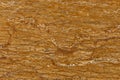 Real natural ` Travertin Walnut ` texture pattern.