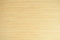 Real Natural white wooden wall texture background. The World`s Leading Wood working Resource. Royalty Free Stock Photo