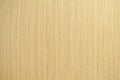 Real Natural white wooden wall texture background. The World`s Leading Wood working Resource. Royalty Free Stock Photo