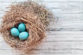 Real Nest with Blue Colored Eggs on a Rustic White Wooden Background