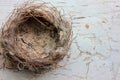 Real nest with quail eggs on old cracked white wooden background. Empty Nest Syndrome concept. Top view