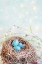 Three Speckled Blue Eggs with Bokeh