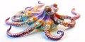 A real octupus, squid, cuttlefish (Octopoda) in its natural habitat