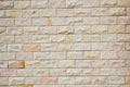 Real old brick wall texture and background Royalty Free Stock Photo