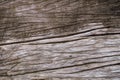 Wood cracks textured background for design