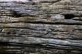 Wood cracks textured background for design