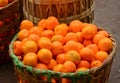 Real organic oranges at market stall