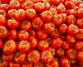 Real organic tomatoes at market stall