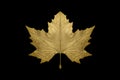 Real perfectly symmetrical gold maple leaf