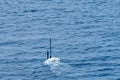 Real periscope and radio transmission mast of the attack submarine  during the submarine sails in the periscope depth in the sea Royalty Free Stock Photo