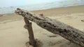 REAL PHOTO - BEACH AND BEAUTIFUL WOODEN POSITION (4)