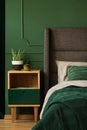 Real photo of a bedside table next to a bed in a dark green bedroom interior Royalty Free Stock Photo