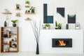 Real photo of a bio fireplace next to a wooden bookcase with orn Royalty Free Stock Photo