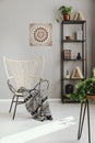 Real photo of chair with patterned blanket placed in bright living room interior with fresh plants, rack with decor and books and