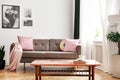 Real photo of couch with pastel pink cushions and blanket standing in white sitting room interior with wooden table with book and Royalty Free Stock Photo