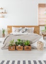 Real photo of a cozy bedroom interior with a double bed, plants in wooden boxes and empty wall in the background. Place your graph