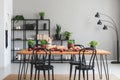 Real photo of cozy dining room interior with a table full of vegetables and herbs, and black shelf in the background Royalty Free Stock Photo