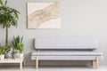 Real photo of a cozy gray couch standing next to a wooden platform with plants in a simple, scandi living room interior