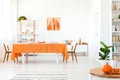 Real photo of dining room in vivid color. Orange tablecloth on long table with white chairs Royalty Free Stock Photo